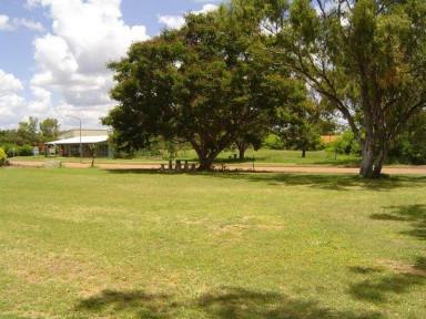 Residential Block For Sale - QLD - Greenvale - 4816 - GREENVALE VACANT LAND - BUY ONE OR BUY BOTH!  (Image 2)
