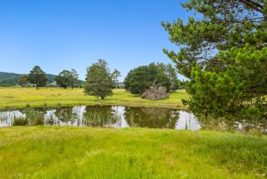 Residential Block Sold - WA - Nannup - 6275 - PICTURESQUE ACREAGE WITH BLACKWOOD RIVER FRONTAGE  (Image 2)