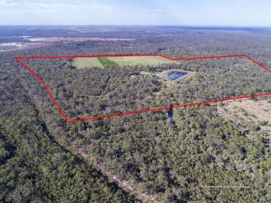 Horticulture For Sale - QLD - Isis River - 4660 - LIME ORCHARD WITH IMMACULATE HOME  (Image 2)