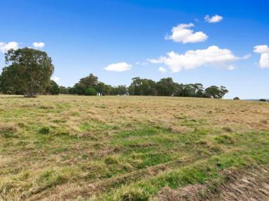 Residential Block For Sale - VIC - Lindenow South - 3875 - BUILD YOUR RURAL DREAM  (Image 2)