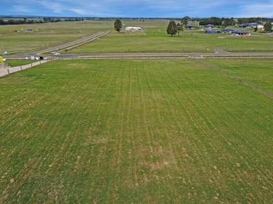 Residential Block For Sale - VIC - Lindenow South - 3875 - ELEVATED VANTAGE POINT  (Image 2)