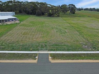 Residential Block For Sale - VIC - Lindenow South - 3875 - HIGH SIDE OF THE ROAD  (Image 2)
