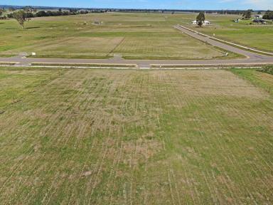 Residential Block For Sale - VIC - Lindenow South - 3875 - HIGH SIDE OF THE ROAD  (Image 2)