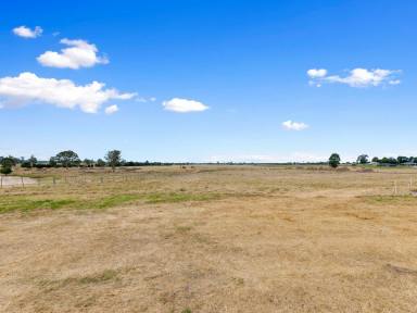 Residential Block For Sale - VIC - Lindenow South - 3875 - OVERLOOKING FARMLAND  (Image 2)