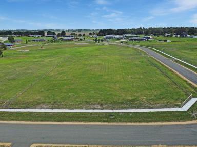 Residential Block For Sale - VIC - Lindenow South - 3875 - RURAL LIFESTYLE LIVING  (Image 2)