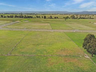 Residential Block For Sale - VIC - Lindenow South - 3875 - LOVELY RURAL ASPECT  (Image 2)