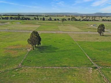 Residential Block For Sale - VIC - Lindenow South - 3875 - GENEROUS SIZED BLOCK  (Image 2)