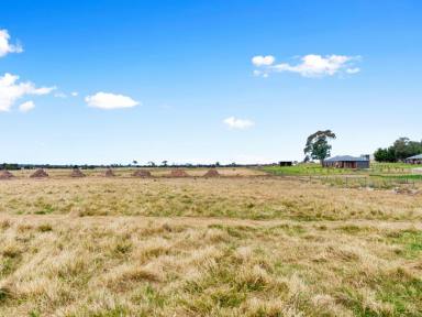 Residential Block For Sale - VIC - Lindenow South - 3875 - COUNTRY LIFESTYLE DREAM  (Image 2)