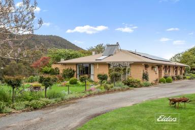 Other (Rural) For Sale - TAS - Beaconsfield - 7270 - "Ilfracombe"  (Image 2)