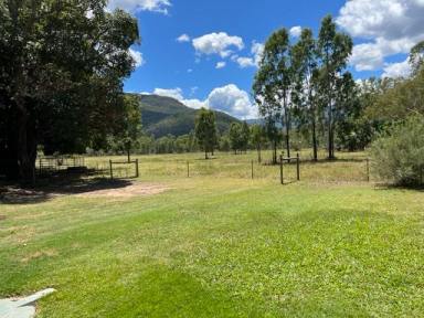 House For Sale - QLD - Majors Creek - 4816 - THE PERFECT LITTLE FARM…  no city prices or crime here.  (Image 2)