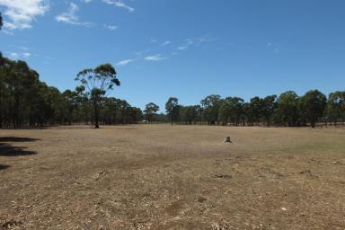 Lifestyle For Sale - VIC - Lamplough - 3352 - 21.6 Acres (approx)  LIFESTYLE BLOCK  (Image 2)