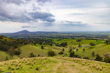 Other (Rural) For Sale - NSW - Berry - 2535 - 'Bellevue'  (Image 2)