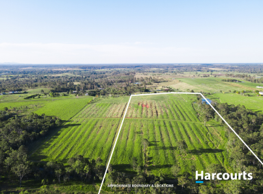 Lifestyle For Sale - QLD - Electra - 4670 - Lifestyle Meets Convenience - 25 acres with water  (Image 2)