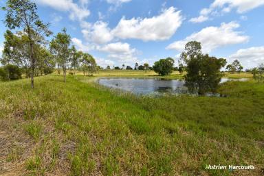 Lifestyle For Sale - QLD - Electra - 4670 - Lifestyle Meets Convenience - Almost 30 acres with Water  (Image 2)