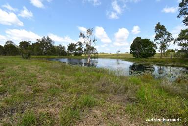 Lifestyle For Sale - QLD - Electra - 4670 - Lifestyle Meets Convenience - Almost 30 acres with Water  (Image 2)