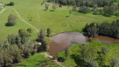 Residential Block For Sale - NSW - Yorklea - 2470 - PRICE    REDUCTION  $1,040,000.  (Image 2)