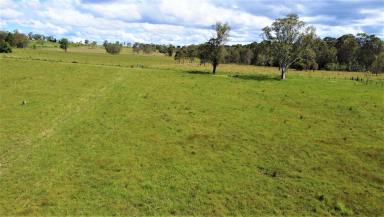 Residential Block For Sale - NSW - Yorklea - 2470 - PRICE    REDUCTION  $1,040,000.  (Image 2)
