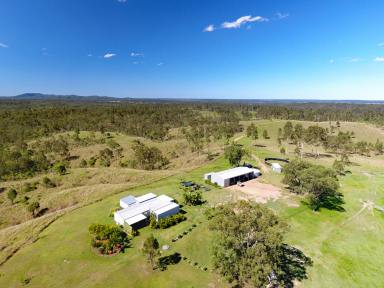 Other (Rural) Sold - QLD - Gin Gin - 4671 - Sizable Breeder Property, Safe Rainfall, Great Location  (Image 2)
