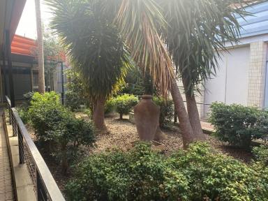 Retail For Sale - NSW - Moree - 2400 - Proximity Perfect  (Image 2)