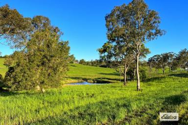 Residential Block Sold - QLD - Chatsworth - 4570 - Exceptional VIEWS & bordering farmland!  (Image 2)