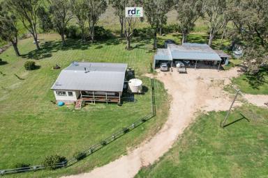 Mixed Farming For Sale - NSW - Inverell - 2360 - CALLICOMA  (Image 2)