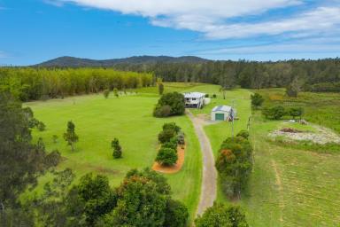 Acreage/Semi-rural Sold - NSW - Crescent Head - 2440 - Wholesome Australian Lifestyle-10 Minutes to World Class Surf  (Image 2)