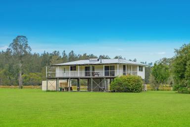 Acreage/Semi-rural Sold - NSW - Crescent Head - 2440 - Wholesome Australian Lifestyle-10 Minutes to World Class Surf  (Image 2)