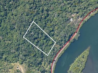 Residential Block Sold - QLD - Bloomfield - 4895 - Overlooking the beautiful, remote, Bloomfield  River  (Image 2)