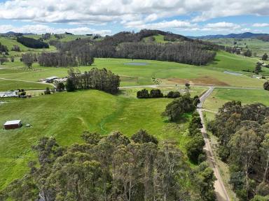 Lifestyle For Sale - TAS - Claude Road - 7306 - When the Mountain Calls  (Image 2)