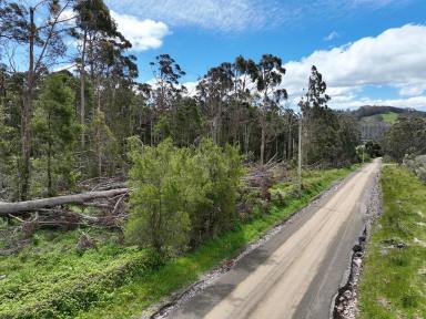 Lifestyle For Sale - TAS - Claude Road - 7306 - When the Mountain Calls  (Image 2)