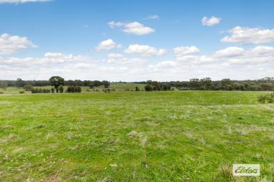 Residential Block Sold - VIC - Ladys Pass - 3523 - 15 Serene Acres  (Image 2)