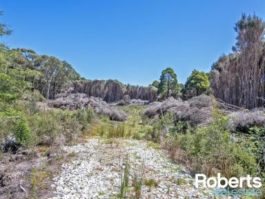 Residential Block Sold - TAS - Boat Harbour - 7321 - Five Minutes from Tea Tree to Sea  (Image 2)
