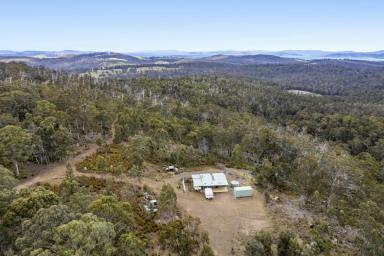 Residential Block For Sale - TAS - Forcett - 7173 - "Hidden within a bushland wonderland" Adjoining the Woodvine Natural Reserve National Park  (Image 2)