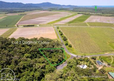 Residential Block Sold - QLD - Daintree - 4873 - BUILD DREAM HOME OR LAND BANK  (Image 2)