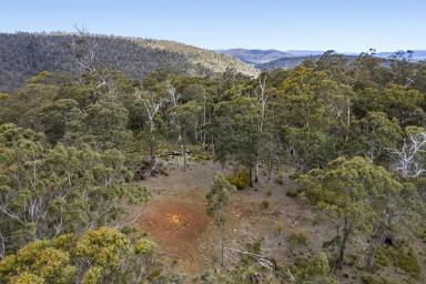 Residential Block For Sale - TAS - Forcett - 7173 - This could be your 100 acre Wood with all the benefits of adjoining the National Park of Woodvine  (Image 2)