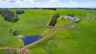 Dairy For Sale - VIC - Scotts Creek - 3267 - TIMBOON DISTRICT DAIRY FARM TO SUIT FAMILY OPERATION  (Image 2)