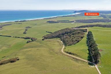 House For Sale - TAS - Marrawah - 7330 - Rare coastal offering with a plethora of options!  (Image 2)