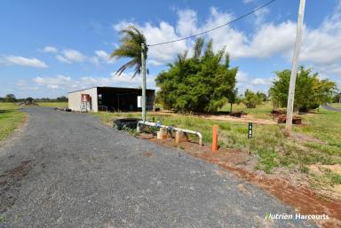 Lifestyle For Sale - QLD - Electra - 4670 - 20 Acres just 20 Minutes to Bundaberg  (Image 2)