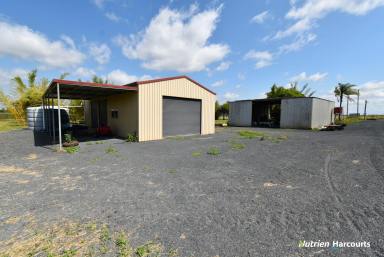 Lifestyle For Sale - QLD - Electra - 4670 - 20 Acres just 20 Minutes to Bundaberg  (Image 2)