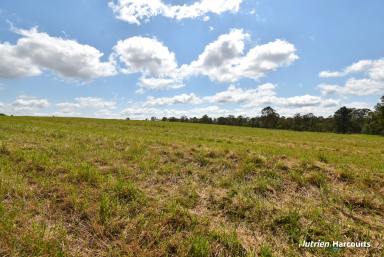 Lifestyle For Sale - QLD - Electra - 4670 - Lifestyle Meets Convenience - 10 Acres  (Image 2)