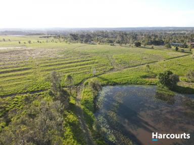 Cropping For Sale - QLD - Electra - 4670 - Lifestyle Meets Convenience - 10 Acres  (Image 2)