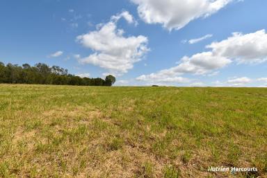 Lifestyle For Sale - QLD - Electra - 4670 - Lifestyle Meets Convenience - 10 Acres  (Image 2)