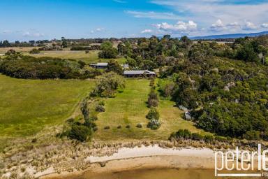 House Sold - TAS - Clarence Point - 7270 - Another Property SOLD SMART By The Team At Peter Lees Real Estate  (Image 2)