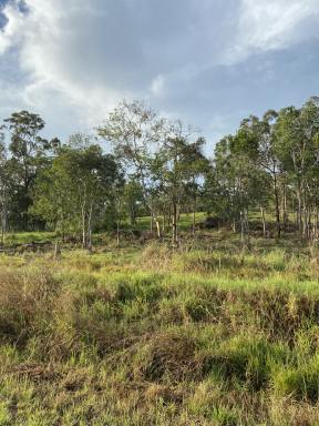 Other (Rural) For Sale - QLD - Habana - 4740 - 86 ACRES AT HABANA  (Image 2)