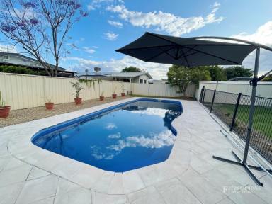 House For Sale - QLD - Dalby - 4405 - AWESOME POSITION, CHARACTER & CHARM  (Image 2)