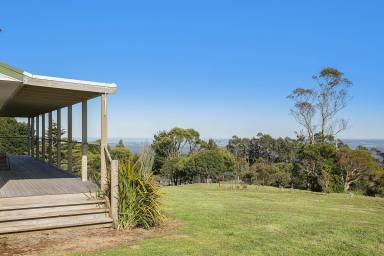 Lifestyle Sold - VIC - Lavers Hill - 3238 - CAPTIVATING GREAT OCEAN ROAD PROPERTY  (Image 2)