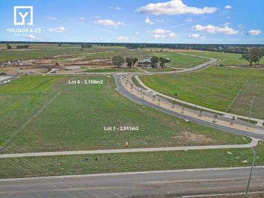 Residential Block For Sale - VIC - Shepparton North - 3631 - Lauriston Estate - Large 2,511m2 Residential Block  (Image 2)