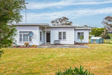 House For Sale - TAS - Hellyer - 7321 - Rare beach frontage offering in popular Hellyer Beach  (Image 2)