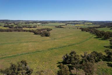 Mixed Farming For Sale - WA - Beverley - 6304 - Wilgy Hill Farm 365.58ha (902.98acres)  (Image 2)