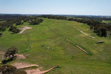Other (Rural) For Sale - WA - Beverley - 6304 - Wilgy Hill Farm                                                              365.58ha (902.98acres)  (Image 2)